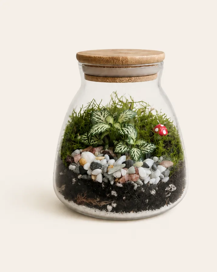 The finished Burrow terrarium