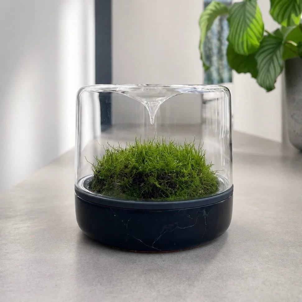 Mossarium Black Marble