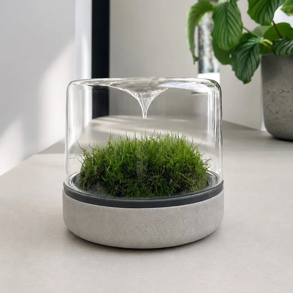Mossarium Concrete