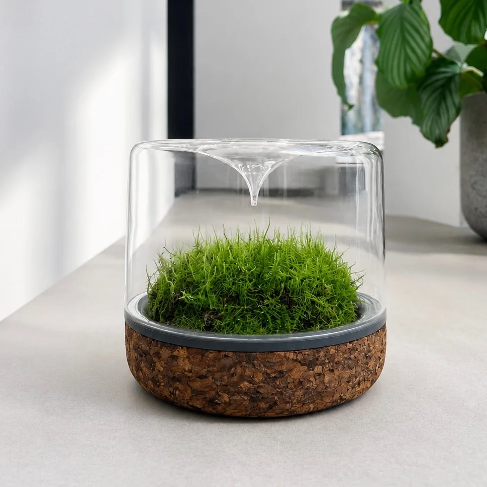 Mossarium Cork