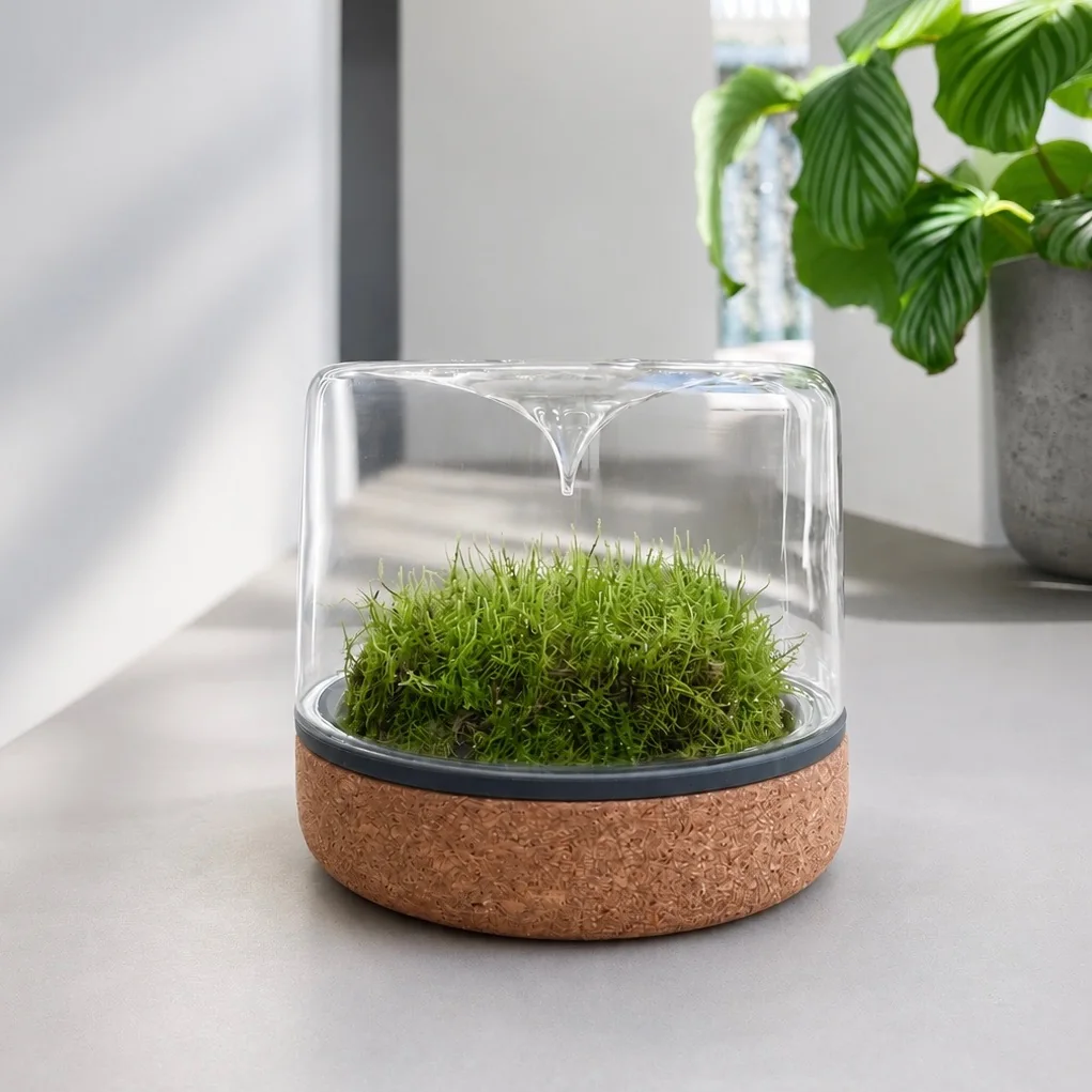 Mossarium Light Cork