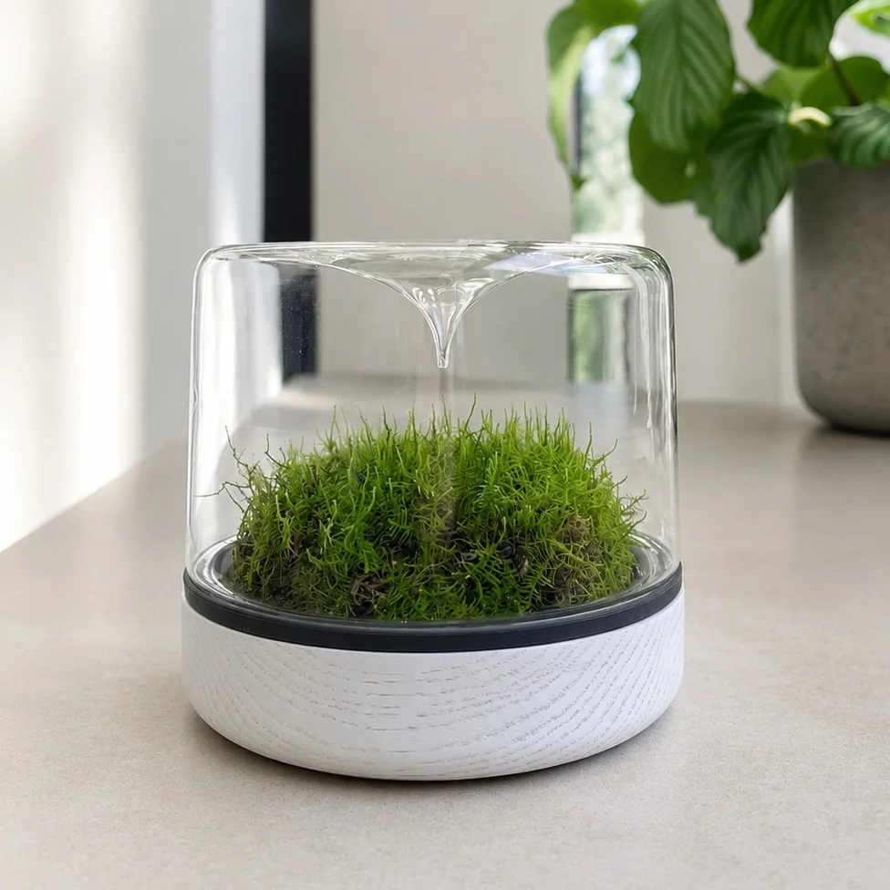 Mossarium White Oak